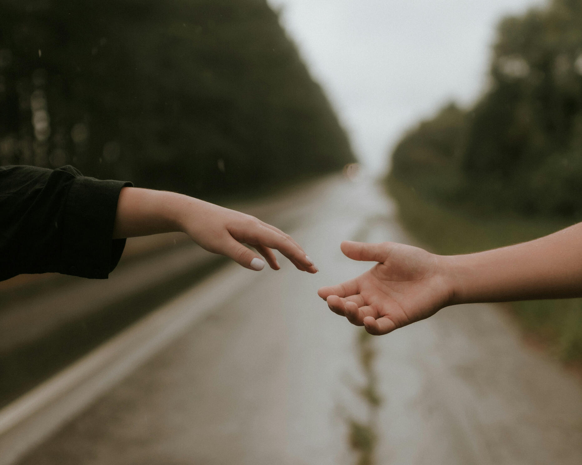 Foto de Freddie Addery en Unsplash Foto de Freddie Addery en Unsplash